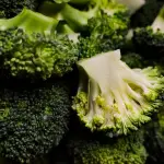Pasta Broccoli e Salsiccia: sapori autentici per un piatto irresistibile