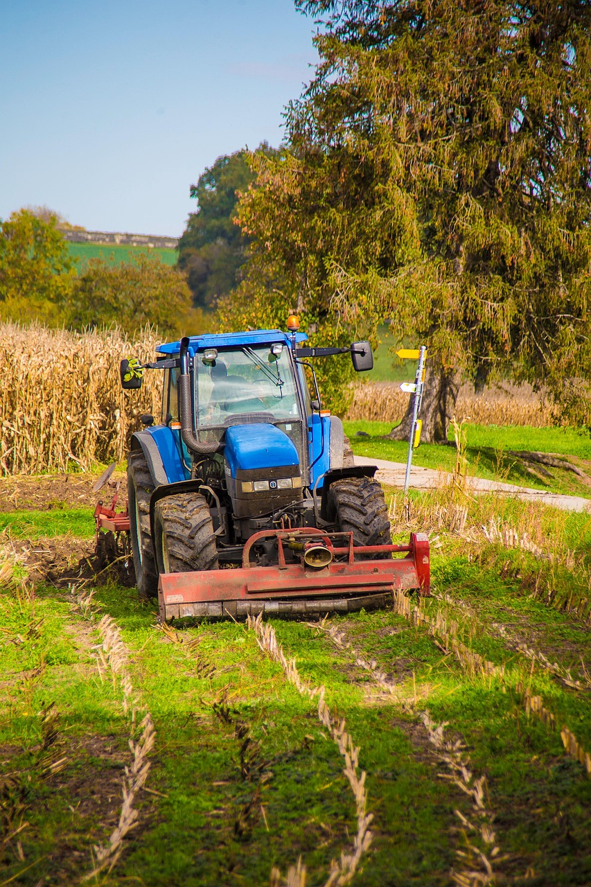 Assemblea Mondiale dei Mercati Contadini: Roma celebra i protagonisti del cibo locale