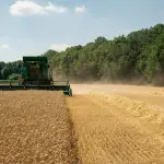 AgriTech in azione al SIF FAO: il CREA porta in mostra agricoltura circolare e acquacoltura intelligente