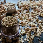 AISTEC, trent’anni di scienza dei cereali: a Roma un bilancio che guarda avanti