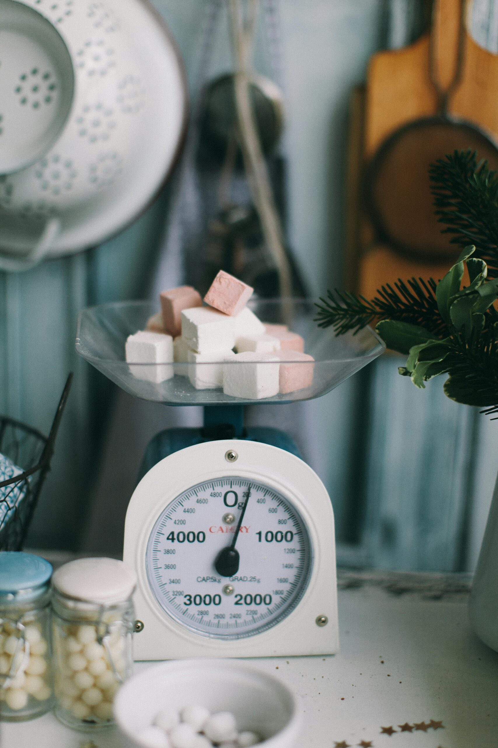 Migliori bilance da cucina