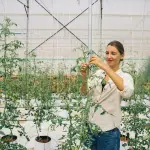 Nel segno della terra: Coldiretti celebra le donne che coltivano autonomia e libertà