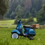 Il mercato fondiario italiano nel 2024: stabilità, differenze territoriali e nuove dinamiche