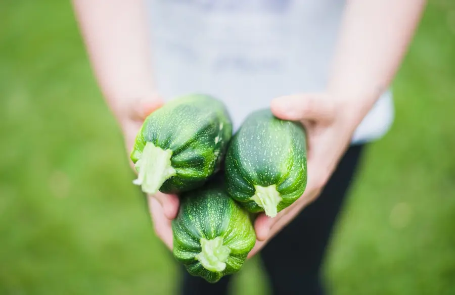 Zucchine gratinate al forno: la semplicità che conquista con la crosticina dorata