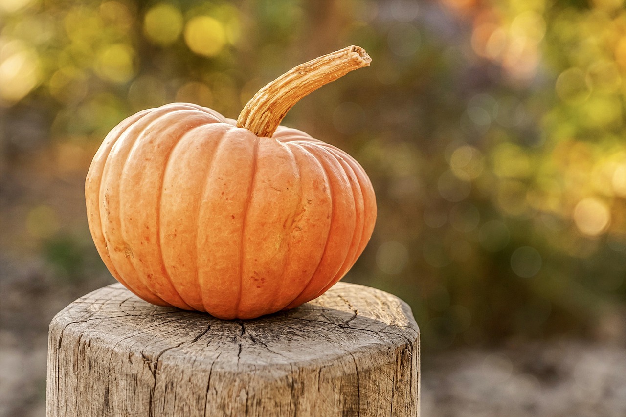 La zucca, simbolo di rinascita tra mito, nutrizione e cultura popolare