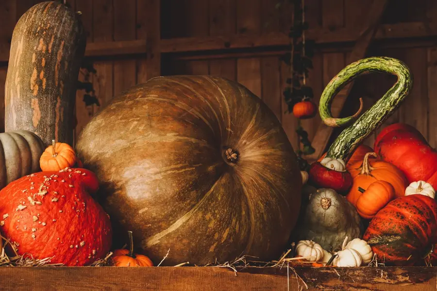 Halloween e la “Zucca economy”: produzione e consumo valgono oltre 30 milioni di euro