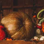 Halloween e la “Zucca economy”: produzione e consumo valgono oltre 30 milioni di euro