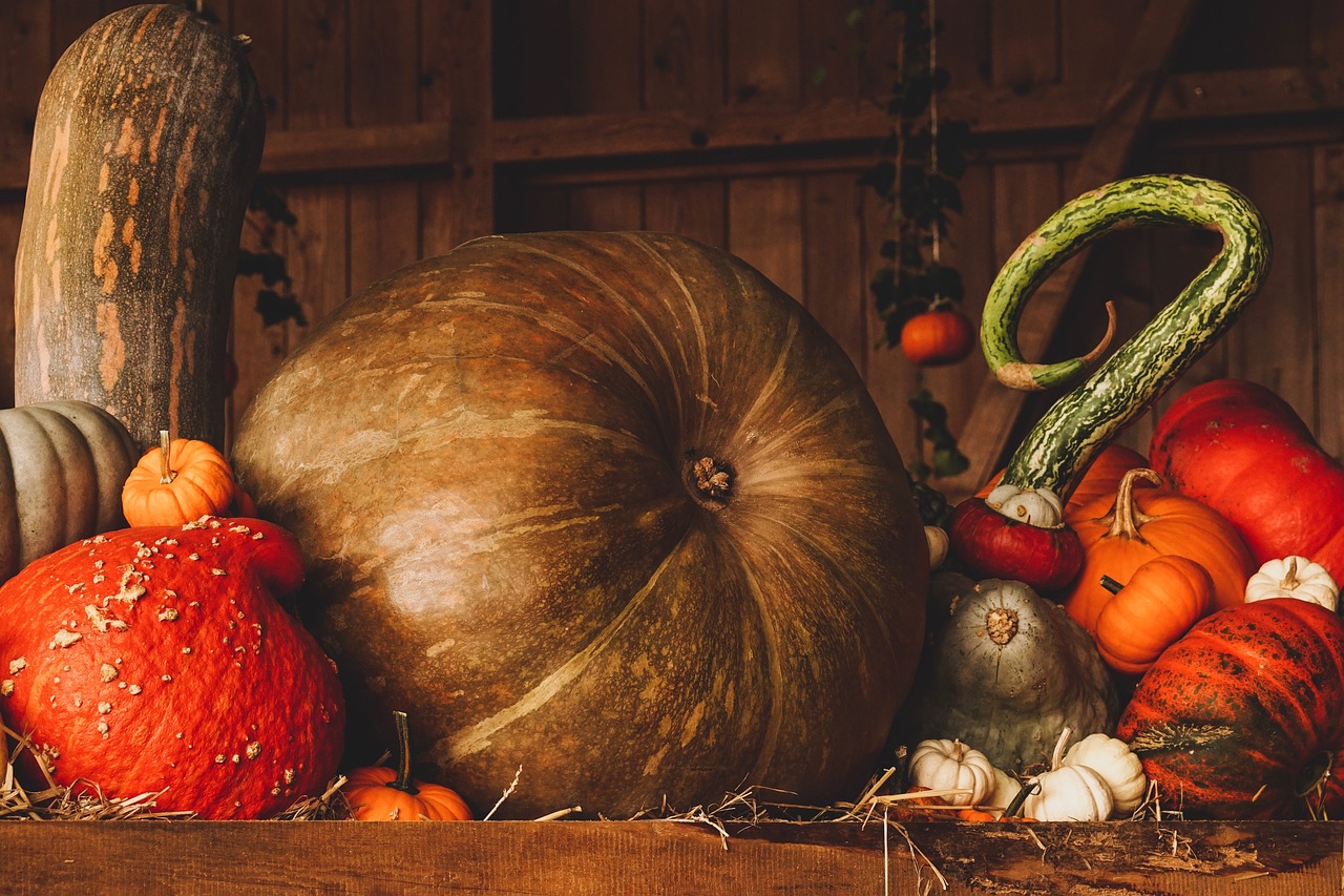 Halloween e la “Zucca economy”: produzione e consumo valgono oltre 30 milioni di euro