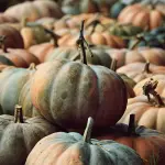 Vellutata di zucca e patate: un comfort food dal cuore cremoso